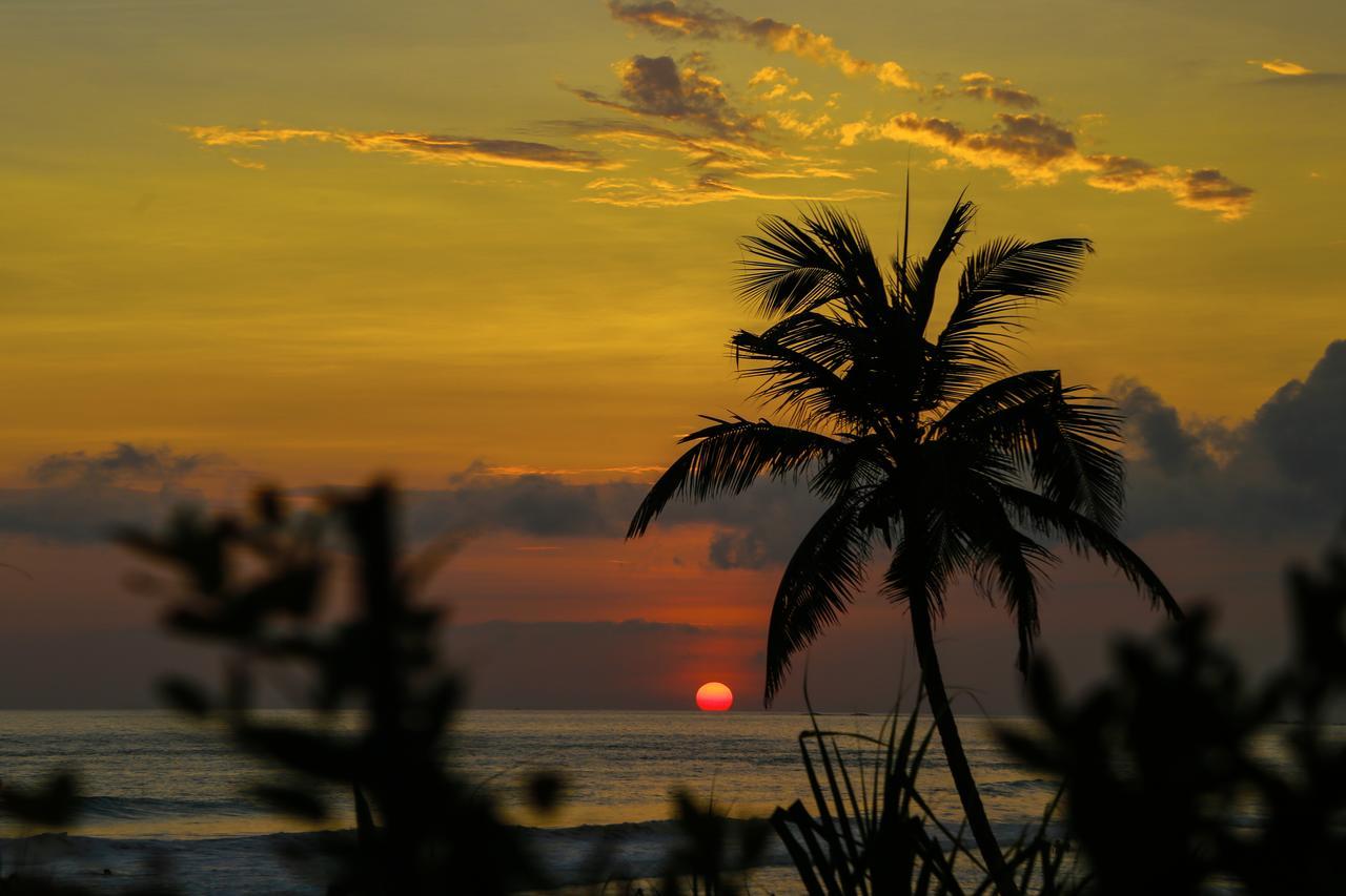 Top Secret Beach Hotel มาตารา ภายนอก รูปภาพ